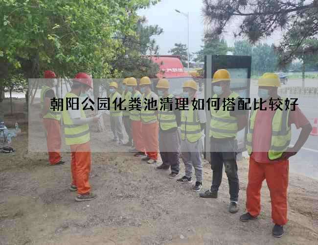 朝阳公园化粪池清理如何搭配比较好