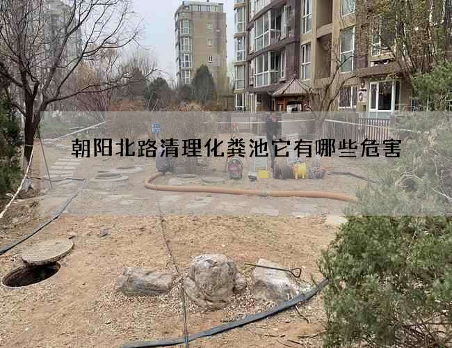 朝阳北路清理化粪池它有哪些危害