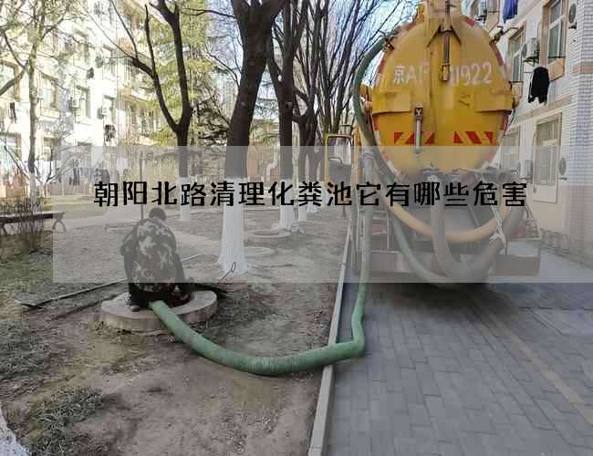朝阳北路清理化粪池它有哪些危害