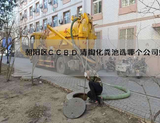 朝阳区CCBD清掏化粪池选哪个公司好呢
