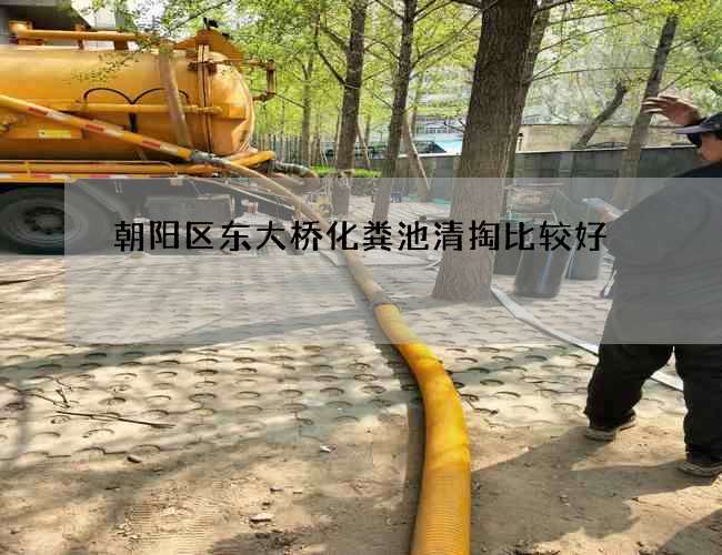 朝阳区东大桥化粪池清掏比较好